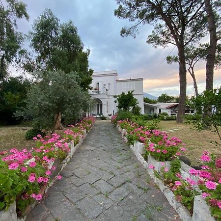 B&B Casa Maria Vittoria 托雷德尔格雷科 外观 照片