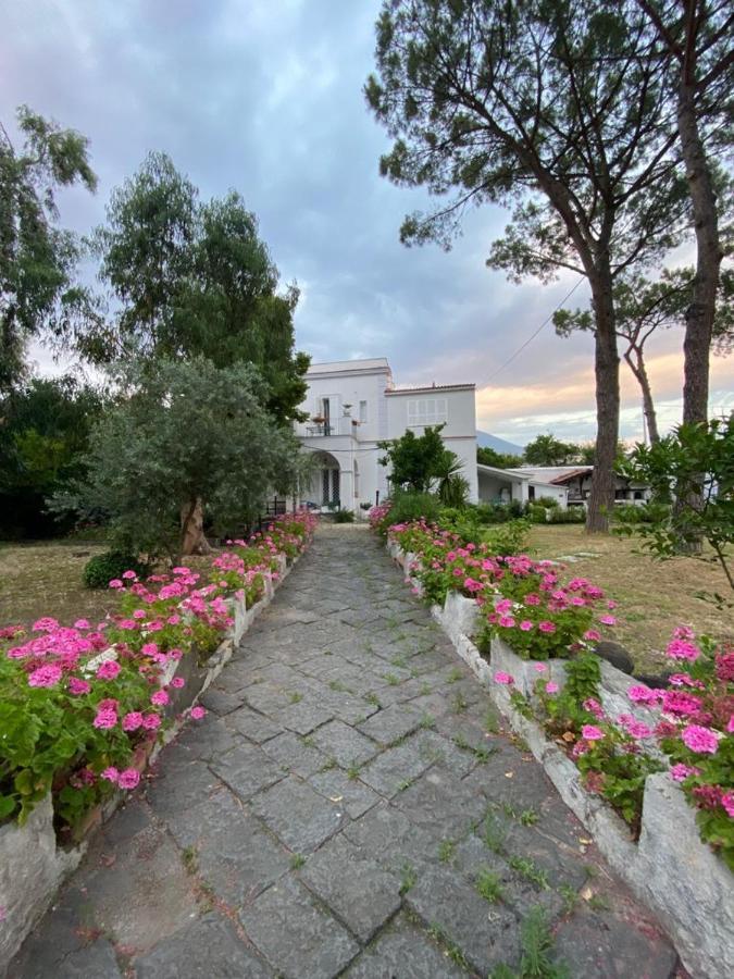 B&B Casa Maria Vittoria 托雷德尔格雷科 外观 照片