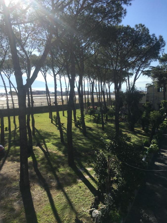 B&B Casa Maria Vittoria 托雷德尔格雷科 外观 照片