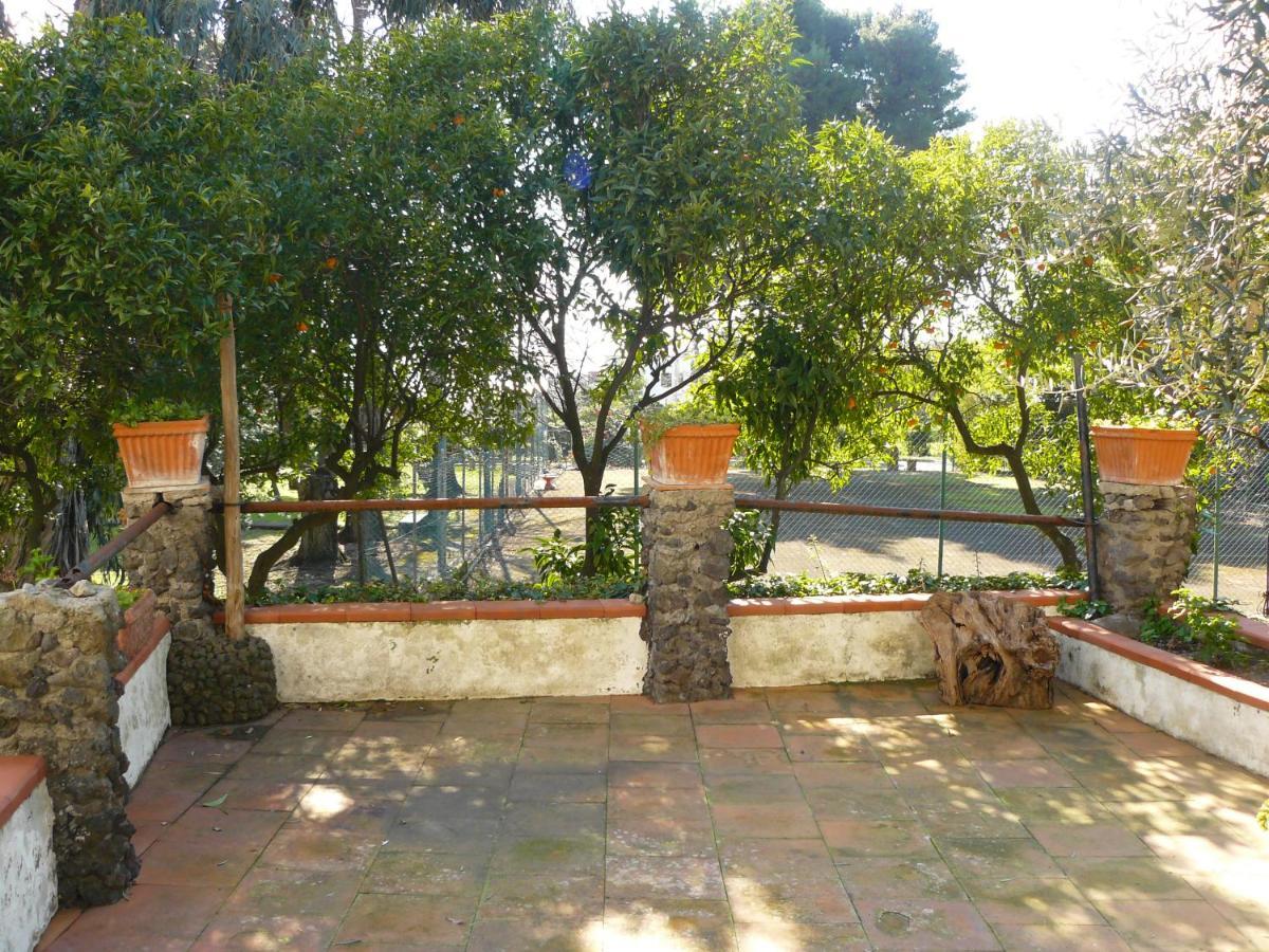 B&B Casa Maria Vittoria 托雷德尔格雷科 外观 照片