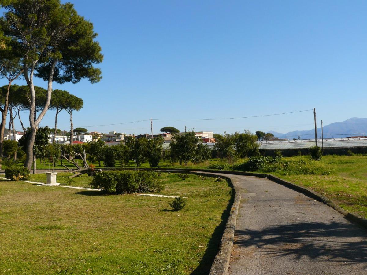 B&B Casa Maria Vittoria 托雷德尔格雷科 外观 照片