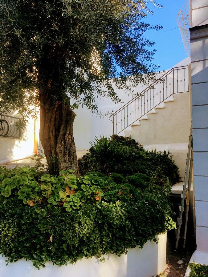 B&B Casa Maria Vittoria 托雷德尔格雷科 外观 照片